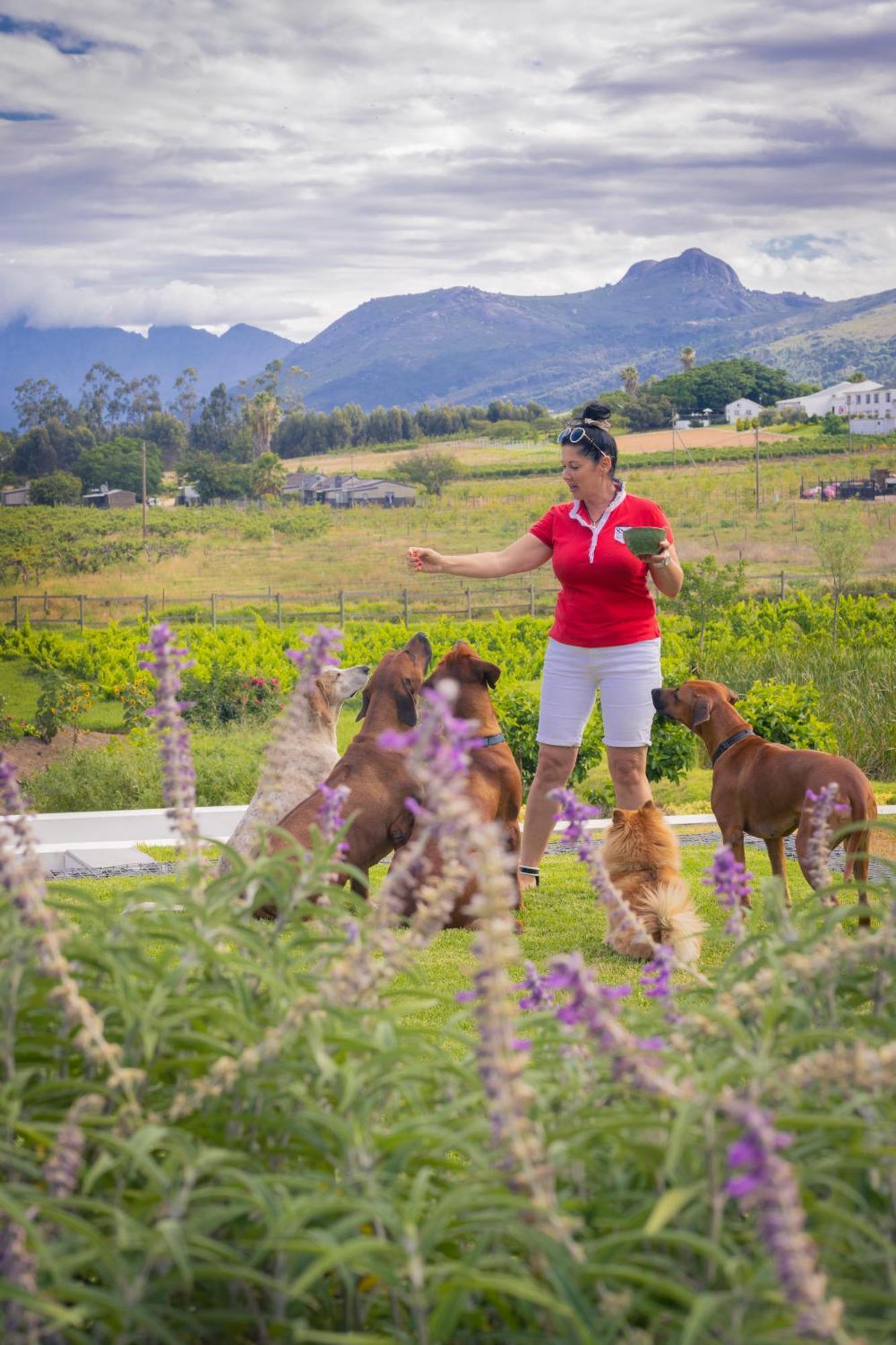 Tempel Wines Hotel พาร์ล ภายนอก รูปภาพ